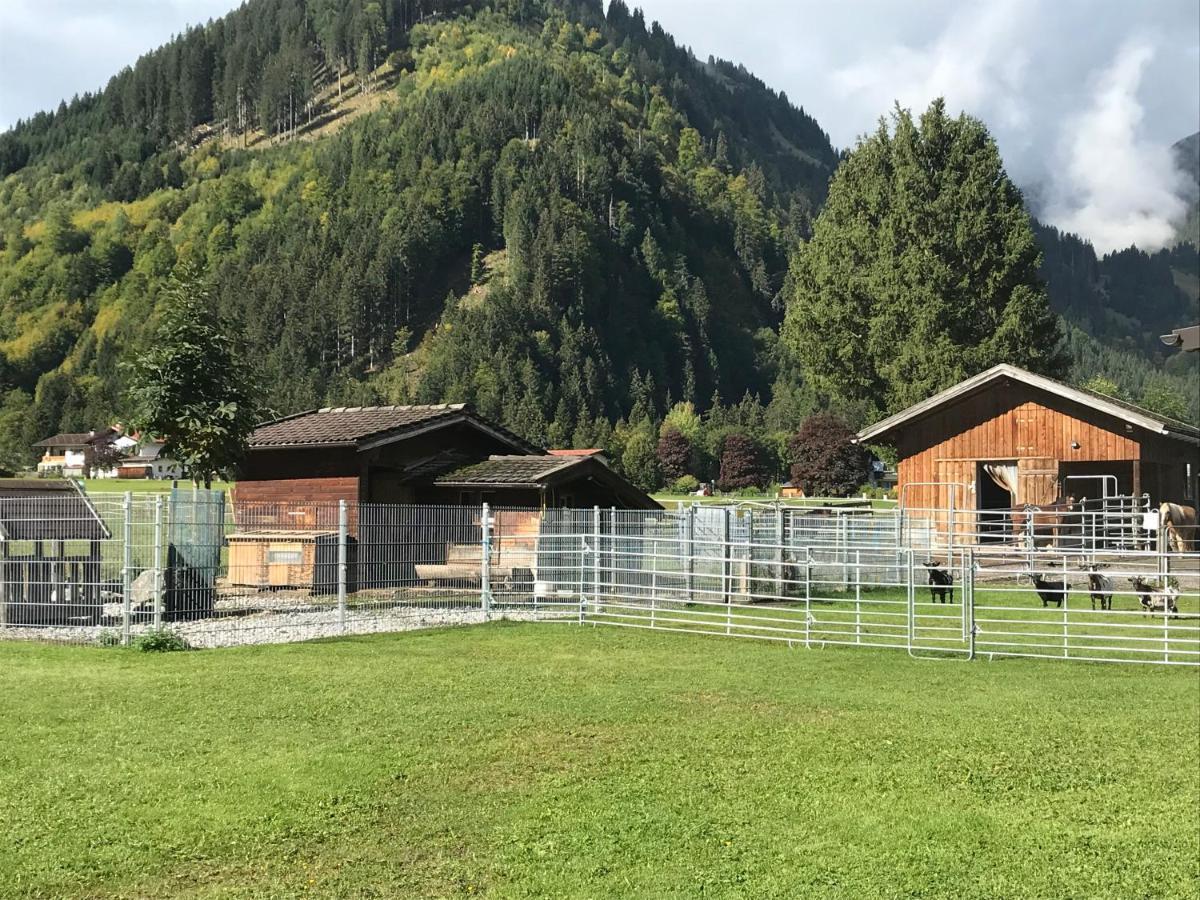 Ferienwohnung Pony-Ziegen-Hasen-Ranch Bichlbach Exterior foto