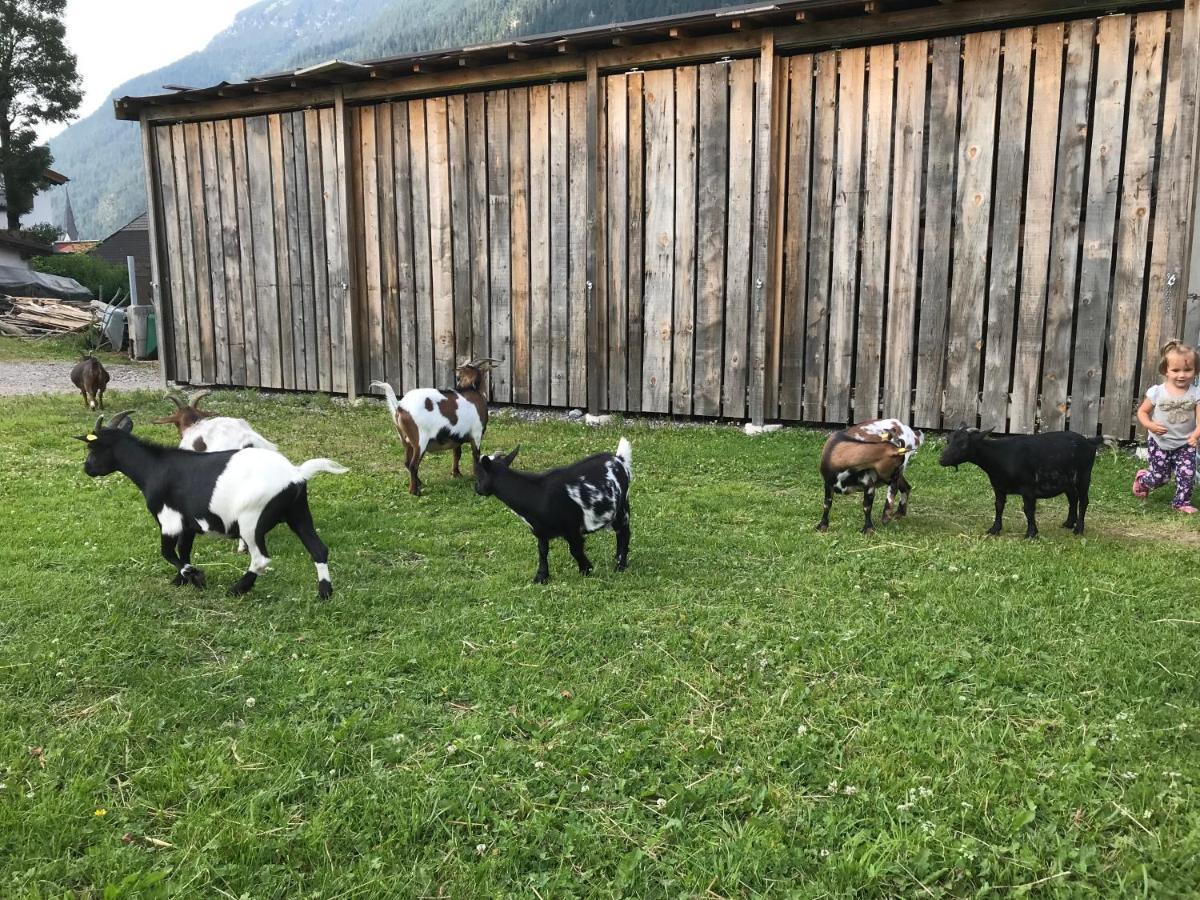 Ferienwohnung Pony-Ziegen-Hasen-Ranch Bichlbach Exterior foto